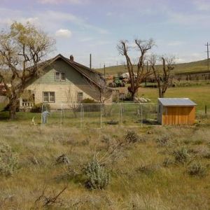 view of chicken coop and new yard...