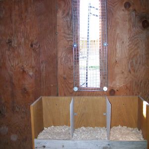 South Window and Nesting box
