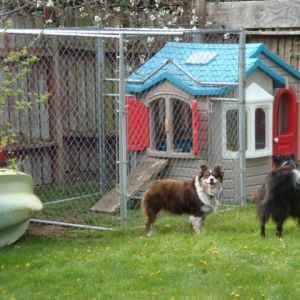 The starting if the kennel around the playhouse.