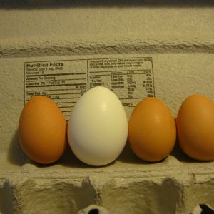 They finally started laying. The white egg int the middle is a medium egg from the store. Their eggs were so small.