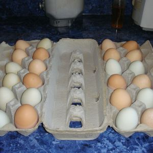 First batch of eggs I sold.