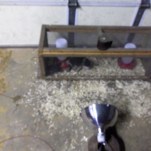 My "brooder"