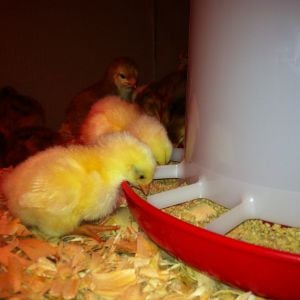 They settled in nicely