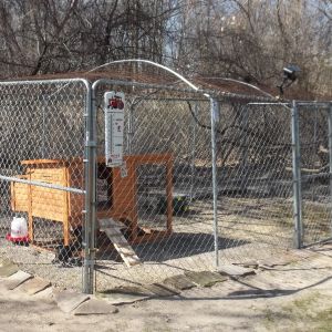 The run with the little coop. I think I will close in the small run area that is part of the coop, which will give additional coop area.