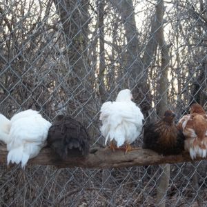 They got tired of looking at me I guess!