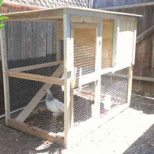 My new and First customized chicken coop!!! Fits about 4-5 chickens. I just got four chickens this week and I'm hoping to maybe get one more in the near future. :)