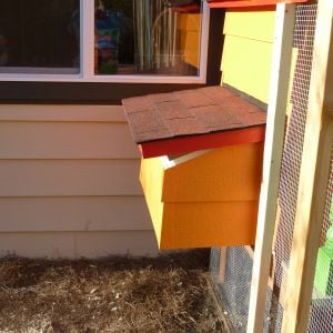 The nesting box is outside of the run for easy access to eggs.