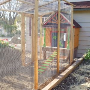 Another view of the coop and run.