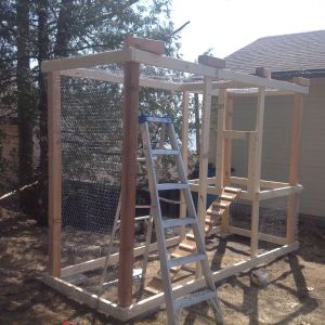 Coop frame added. Chicken wire over ceiling and first walls.