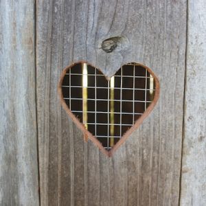 Heart Door Motif, done with a jigsaw. Allows for some air circulation inside of the hen house and adds a little love to the hens.
