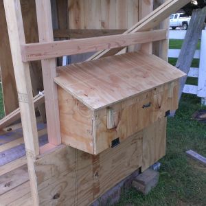 My first nest box build...I was pretty impressed that the instructions were so easy to understand and the pictures helped a lot! I think I am going to change the hinges to bigger ones just to make it more sturdy when opening the door. The project went pretty smooth other than trying to figure out how to notch out the side of the board I put on the wall that butts up against the nest box. Trying to notch it out with my Sonicrafter resulted in a trip to the UTC for a tetanus shot since I sliced my finger right down the area where the fingernail meets the finger. I didn't have to get stitches though because the cut was so straight and precise. They just used Dermabond liquid stitches to close it up. What a day that was! Made me second guess taking on this project.
Here is the link for the nest box plans/instructions.
http://www.thegardencoop.com/blog/2011/03/10/external-nest-box-plans/