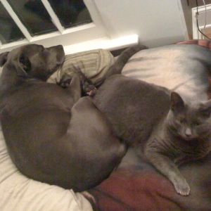 Taj cuddling with her sister.