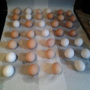 *
Love my eggs!  So pretty!