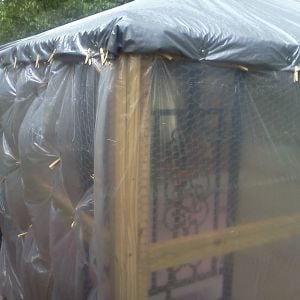 My cheap, quick solution to rain getting in the coop. Painter's drop sheets, .8 mil, pinned up with about 100 clothes pins. :) easy, cheap and quick. Will need a more solid, practical solution for the long term.