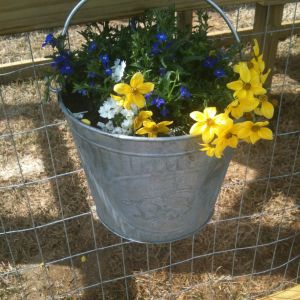 Pails of flowers for our girls.