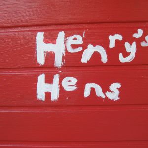 The kids built and painted the coop. My daughter painted this on the nesting box. (our last name is Henry)