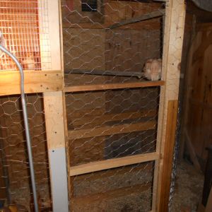 Finally finished the door! To the left I built in a brooder for the chicks which I will extend the width of the pen with a pull-out subdivision for them as they get bigger.