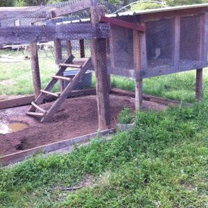 This is the old coop, very small, and run down. Yuk!!!:(