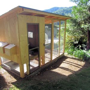 Coop pretty well finished but needs painting.