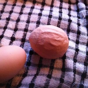odd egg texture