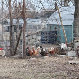 Waiting to be released