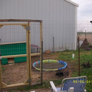 My duck and turkey pen :-)