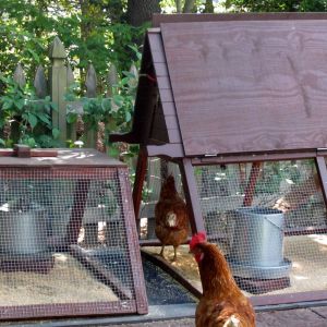 I put side flaps on the Ark coop that I can raise or lower.  Helps keep the rain out of the coop part.  I also built a platform but I am getting rid of it as I have a dog kennel on order which I am going to paint black and then just put the coop in there with no run.  I have a 30 foot x 50 foot fenced area they can run about during the day.  Eventually I am getting rid of this coop too and getting a sturdier and leak proof model.   Live and learn.