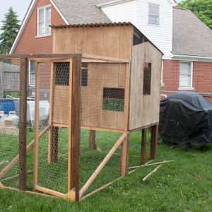 Still have to add the ramp to the coop!