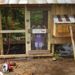 Built and installed the run door.  Notice the water standing under the coop and in the run.  That will be addressed when we get the run finished.  We had just received 6 inches of rain in less than 12 hours.
