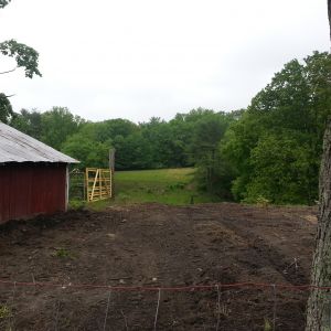 Looking to other end of horse pasture at the tree line WAY back there ;)