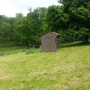 Chicken coop that needs a larger fenced in area!