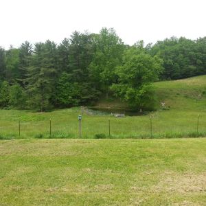 Horse pasture, Pond area