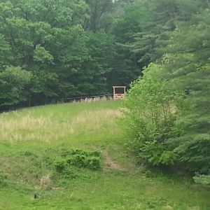 Gate at other end of pasture. Property goes beyond that