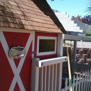 The coop is 5 feet x 5 feet.