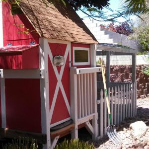 Two large nesting boxes will accommodate 4 chickens at the same time, easily.