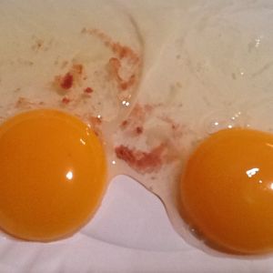 Problem eggs