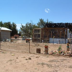 Garden area and chicken run and coop. And my puttering/planning/work area.