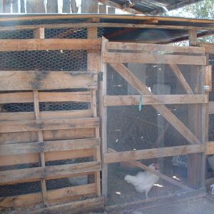 The door to the coop.