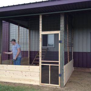 A better look at the outside coop it is currently 9ft x 10ft