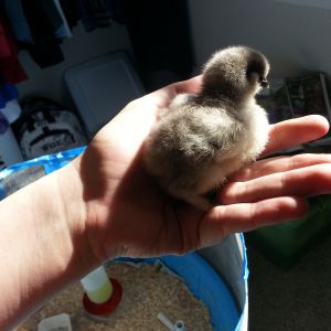 Lightest little baby.