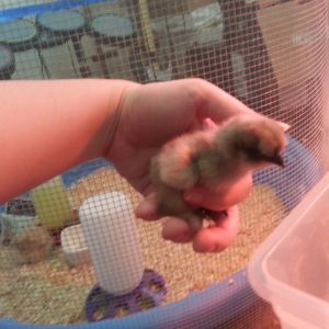 Lightest little baby.