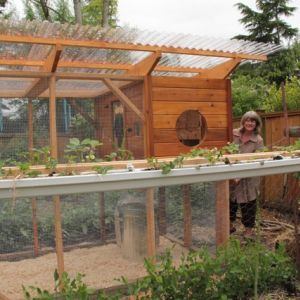 Coop & strawberry troughs!