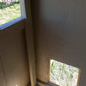 Coop door leading to the run.