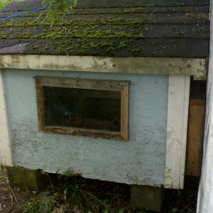 window to the nesting box so we can look in and see if there are any eggs