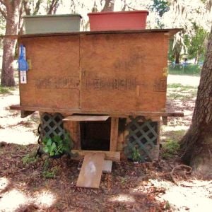 duck house on bottom chicken coop on top