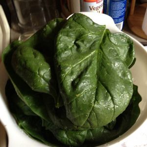 Fresh spinach from the garden, froze some for later and enjoyed the rest in a fresh salad.