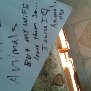 this was over a year ago... but my DH decided he was going to leave me a note.. my how times have changed, seeing how we have 2 cats, a dog and we are in the process of getting chickens