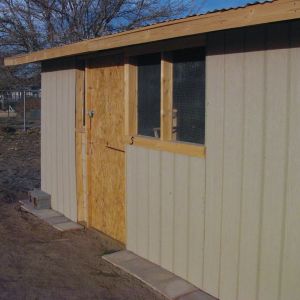 Main chicken coop for large fowl