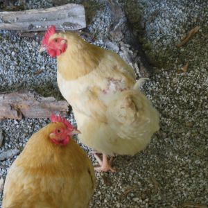 Here is May and Sandy