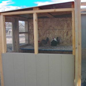 Individual breeding pen with Silver DW OEG Bantams in residence. The water is placed on a board at least four feet above the pen floor. They are fed on the pen floor. This forces the birds to get exercise.